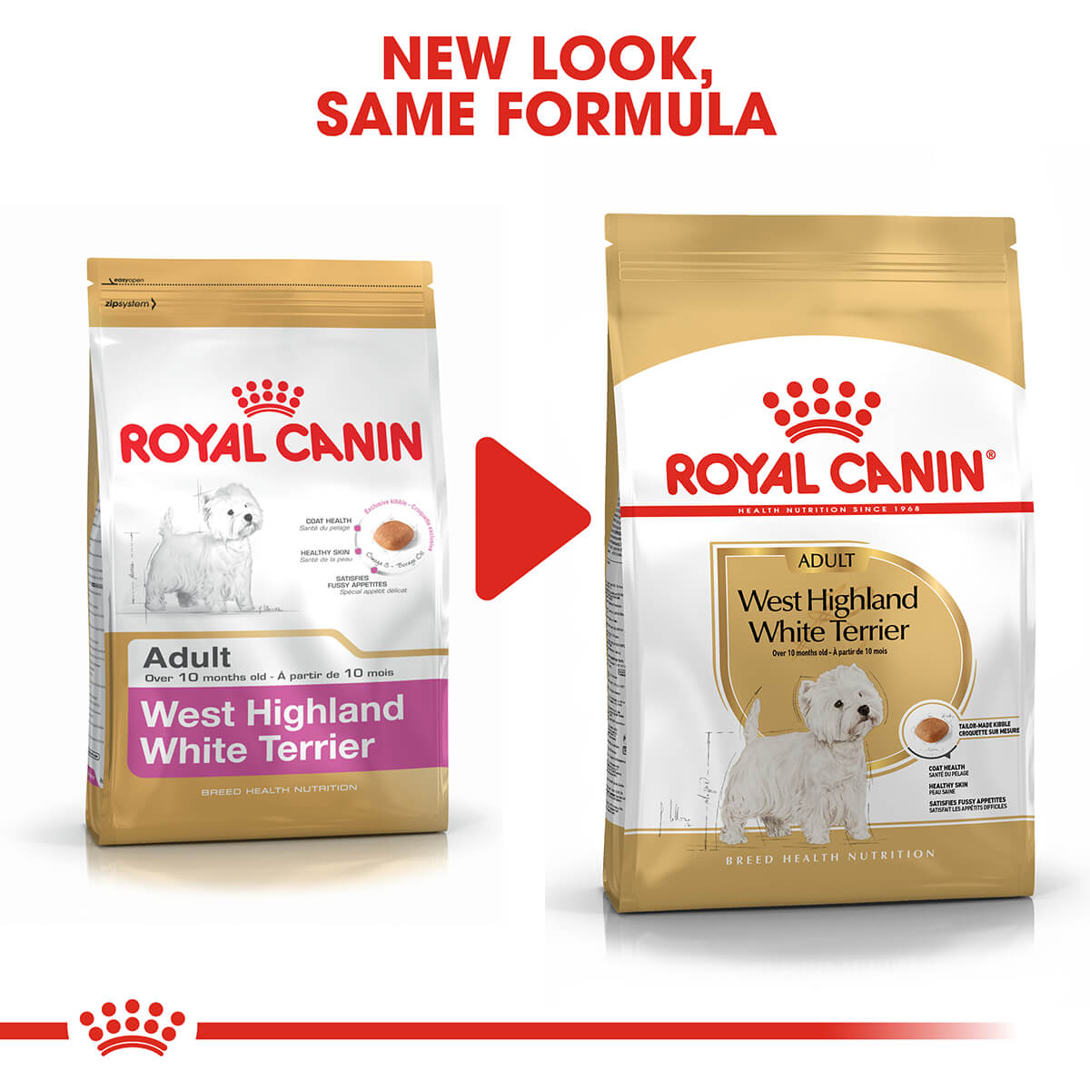 Royal Canin West Highland Terrier Adult Dry Dog Food