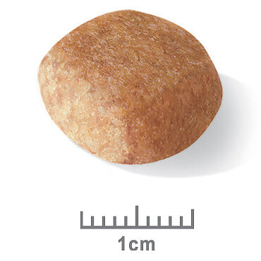 Royal Canin Miniature Schnauzer Adult Dry Dog Food (122725000030) [default_color]