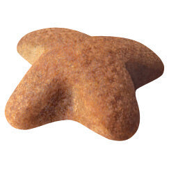 Royal Canin Beagle Adult Dry Dog Food (122725000032) [default_color]