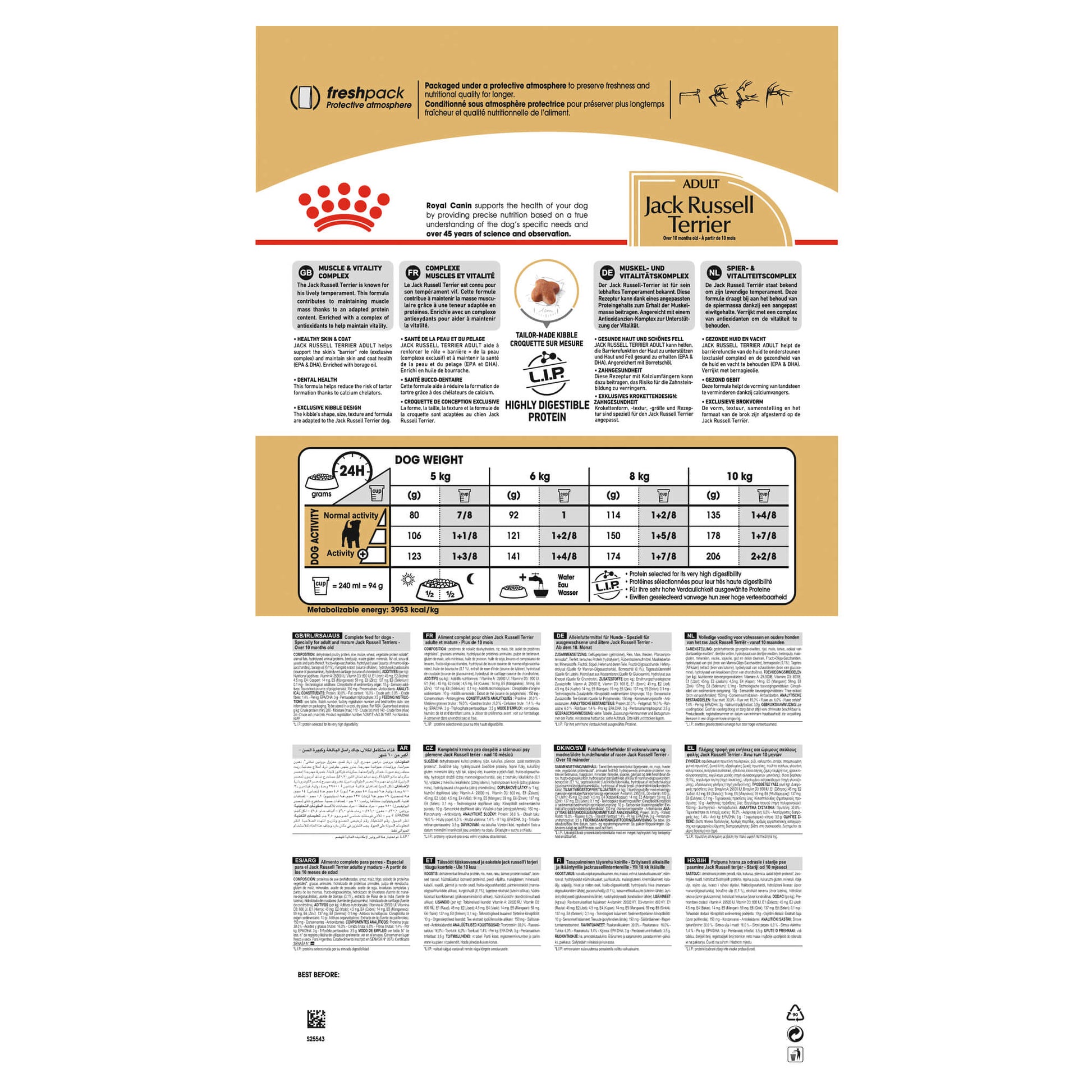 Royal Canin Jack Russell Adult Dry Dog Food (122725000033) [default_color]