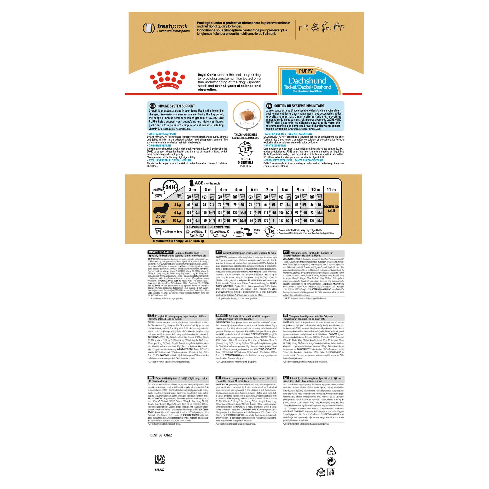 Royal Canin Dachshund Puppy Dry Dog Food (122725000056) [default_color]