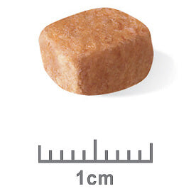 Royal Canin Dachshund Puppy Dry Dog Food (122725000056) [default_color]