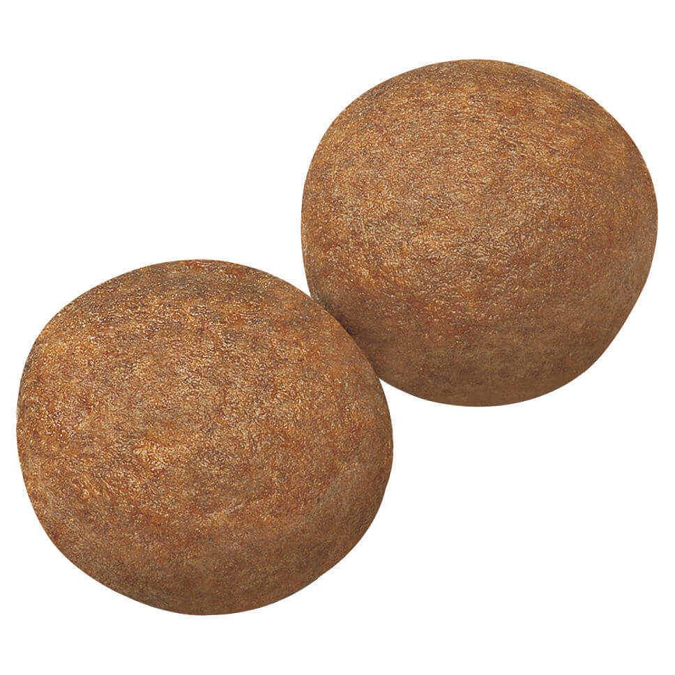 Royal Canin Maxi Large Breed Adult Dry Dog Food (122725000071) [default_color]