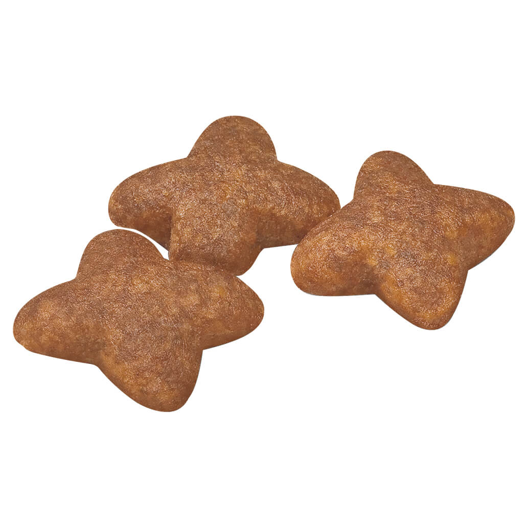 Royal Canin Mini Small Breed Adult Chicken Dry Dog Food (122725000074) [default_color]