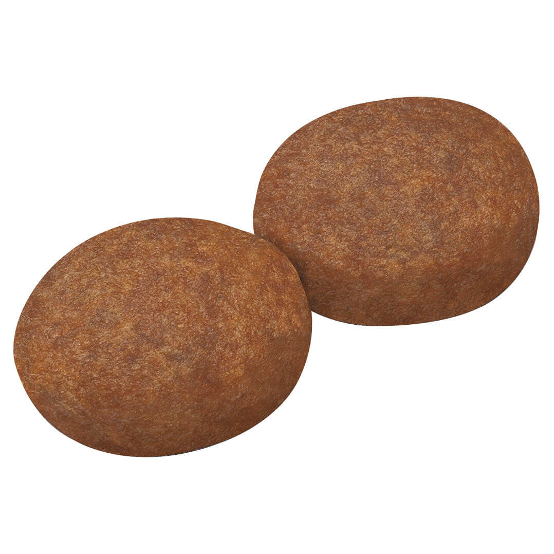 Royal Canin Medium Breed Senior Chicken Dry Dog Food (122725000076) [default_color]