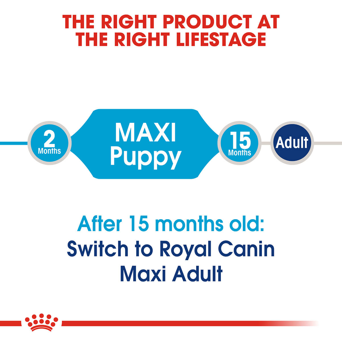 Royal Canin Maxi Large Breed Puppy Chicken Dry Dog Food