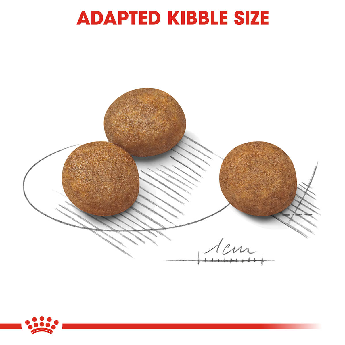 Royal Canin Maxi Large Breed Puppy Chicken Dry Dog Food