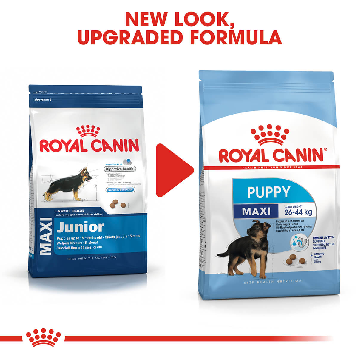 Royal Canin Maxi Large Breed Puppy Chicken Dry Dog Food