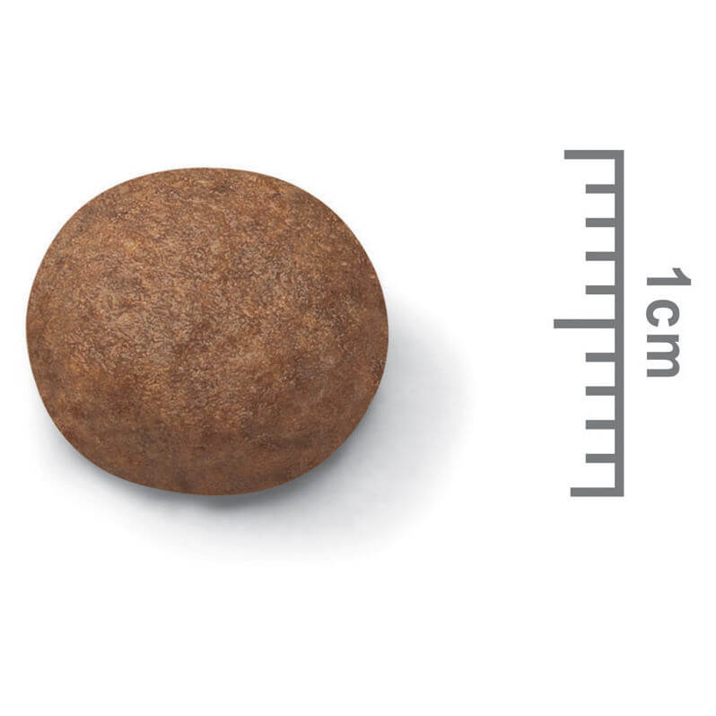 Royal Canin Medium Breed Puppy Chicken Dry Dog Food (122725000091) [default_color]