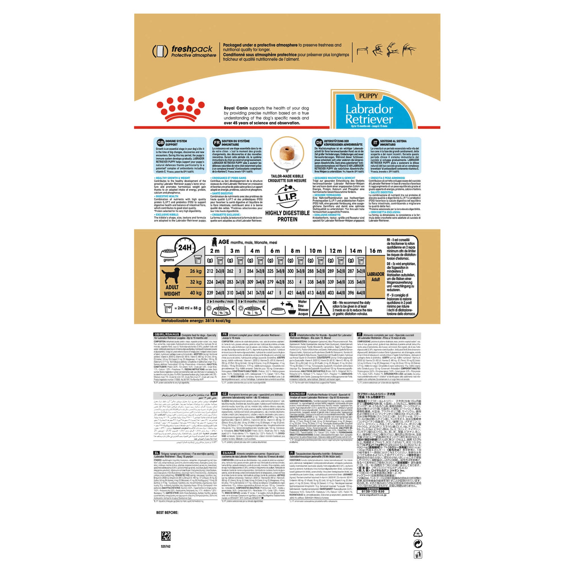 Royal Canin Labrador Retriever Puppy Dry Dog Food (122725000109) [default_color]