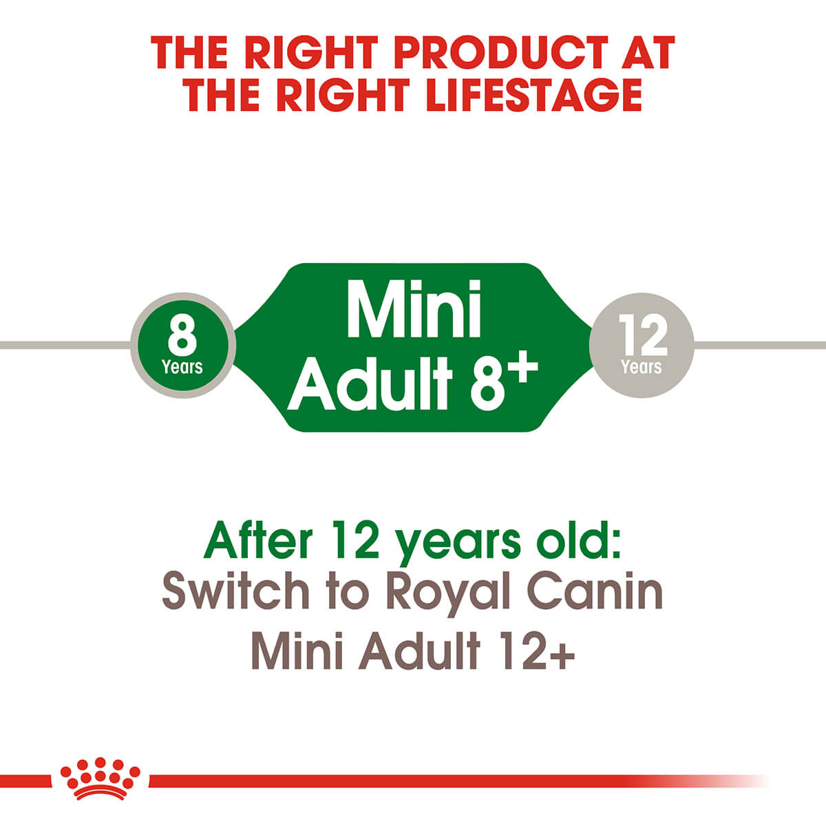 Royal Canin Mini Adult 8+ Dry Dog Food