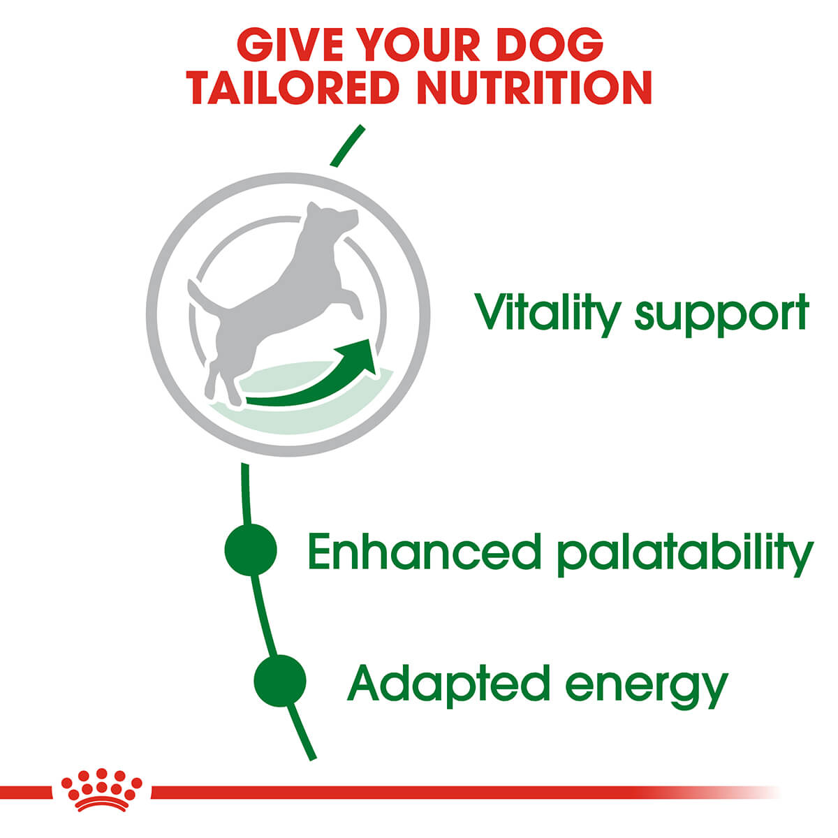 Royal Canin Mini Adult 8+ Dry Dog Food