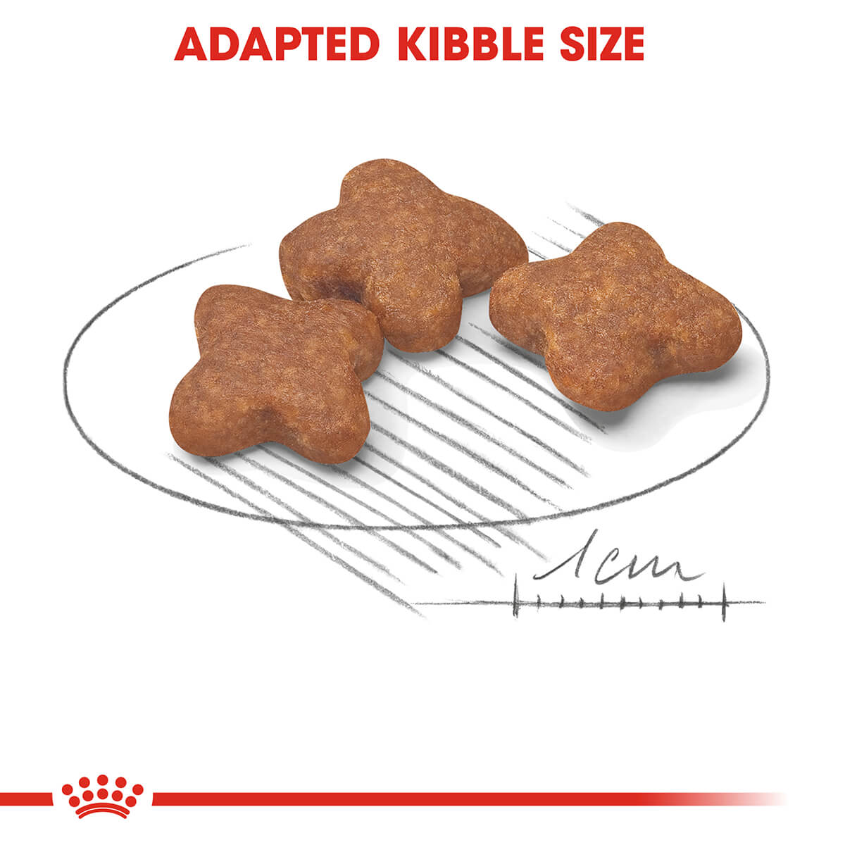 Royal Canin Mini Adult 8+ Dry Dog Food