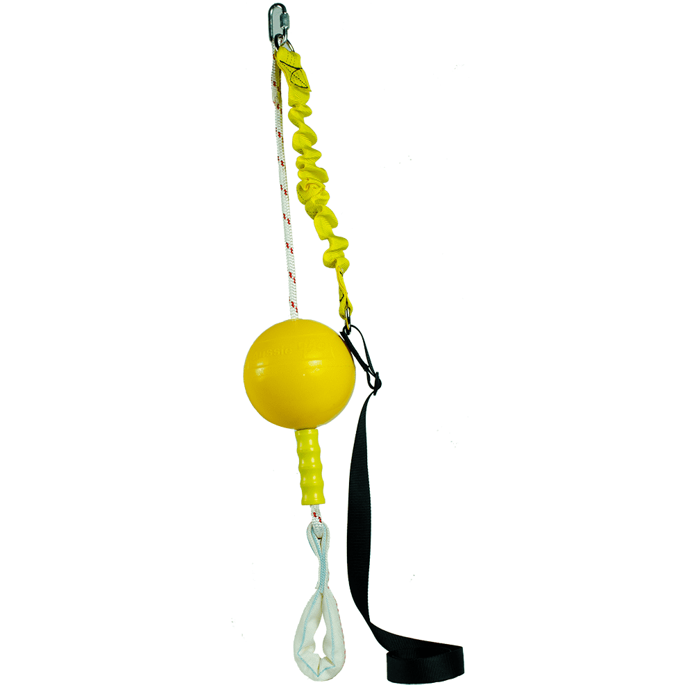 Aussie Dog Home Alone Interactive Dog Toy