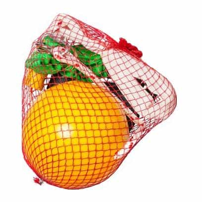 Aussie Dog Home Alone Interactive Dog Toy