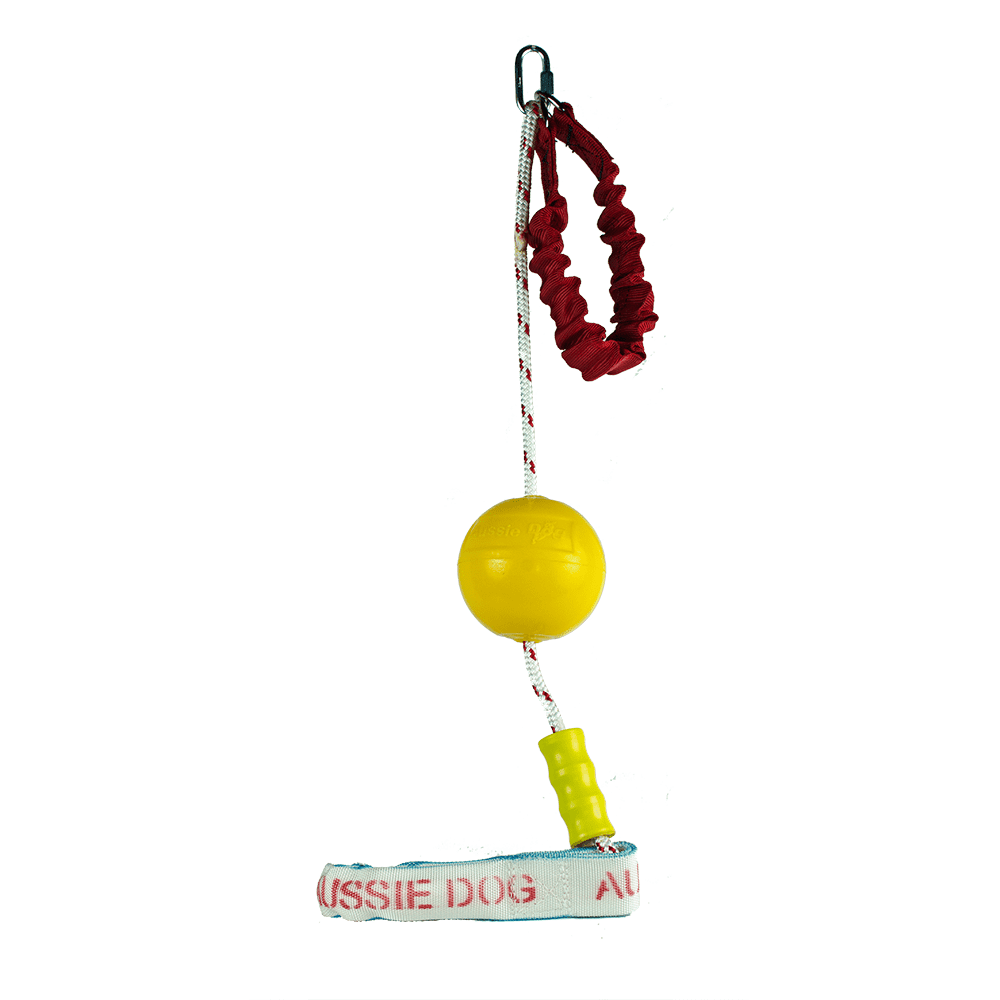 Aussie Dog Home Alone Interactive Dog Toy