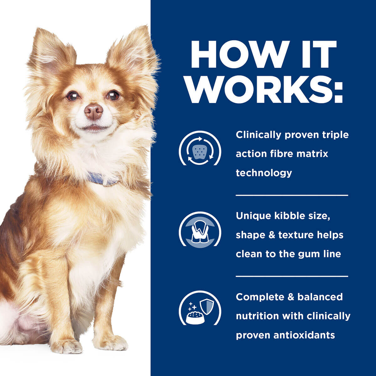 Hill's Prescription Diet T/D Dental Care Small Bites Dry Dog Food