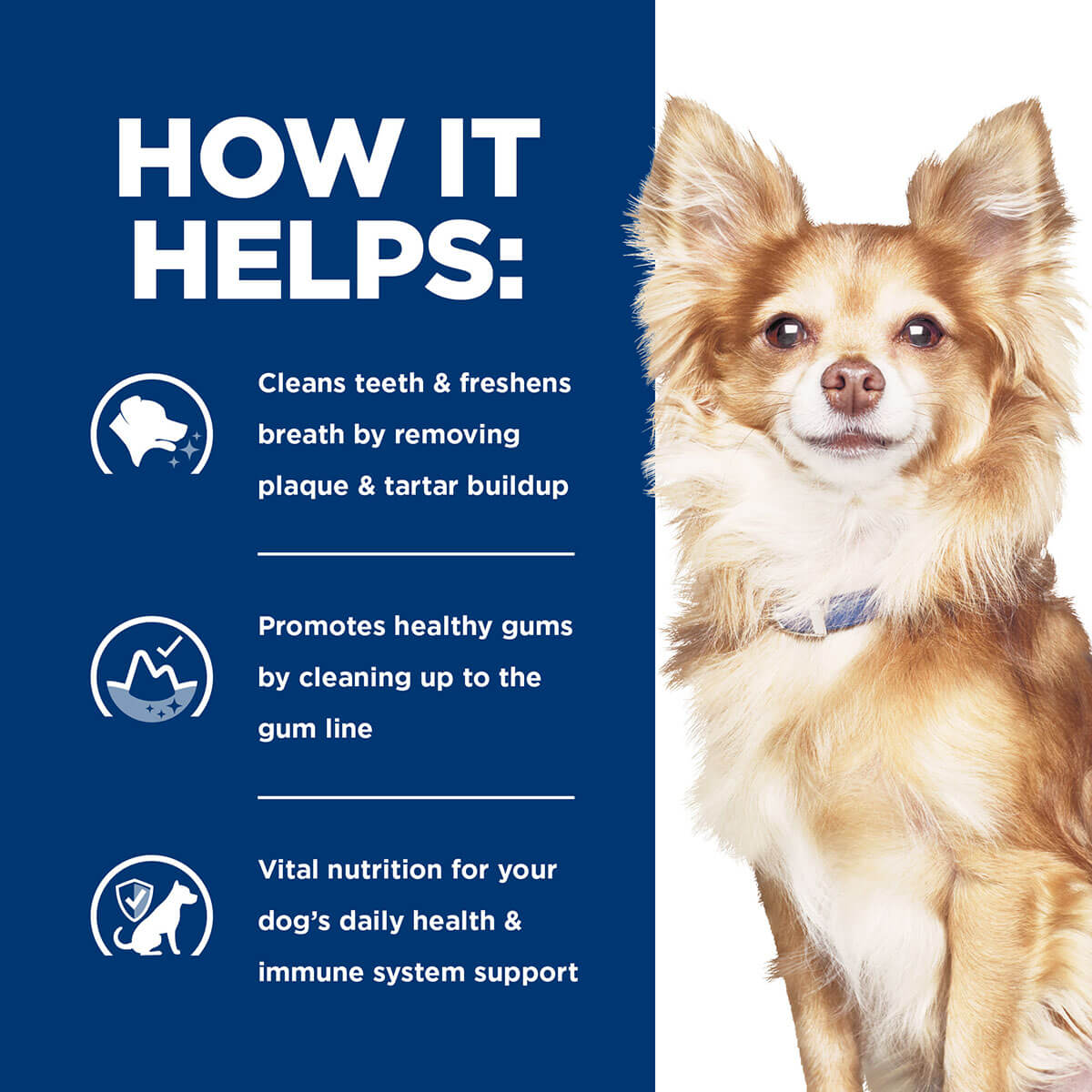 Hill's Prescription Diet T/D Dental Care Small Bites Dry Dog Food