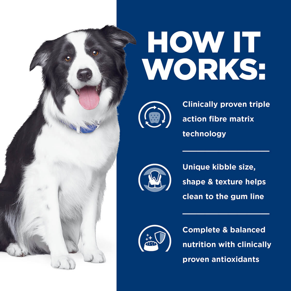 Hill's Prescription Diet T/D Dental Care Dry Dog Food