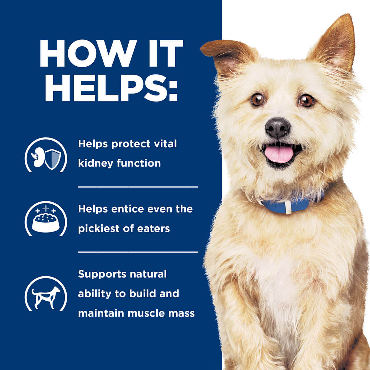 Hill's Prescription Diet K/D Kidney Care Wet Dog Food