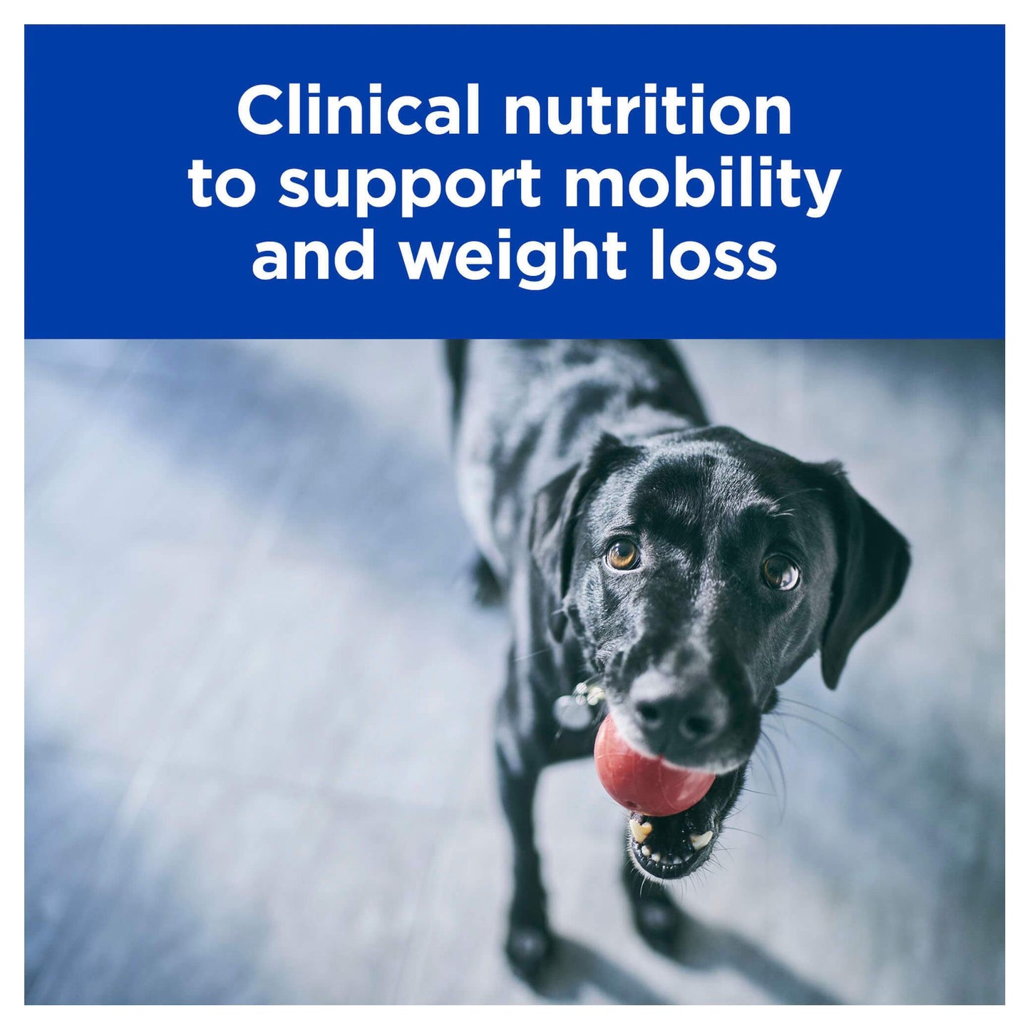 Hill's Prescription Diet Metabolic Plus Mobility Wet Dog Food