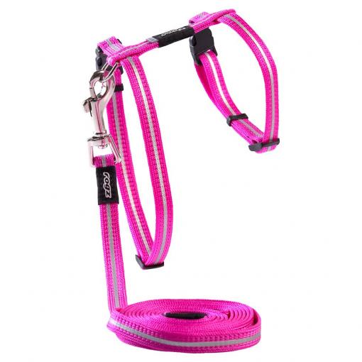 Rogz Alleycat Harness & Lead Set