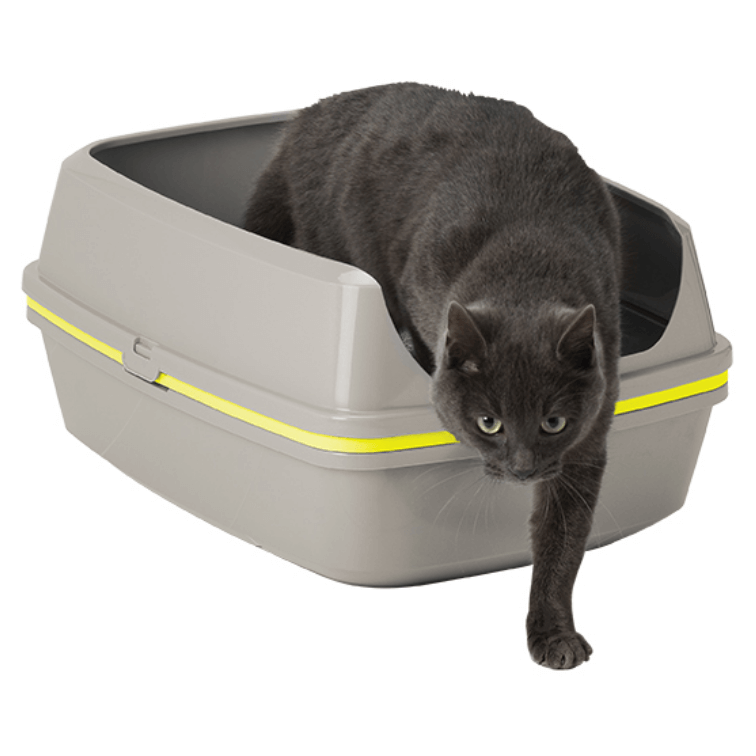 Moderna Lift To Sift Litter Tray