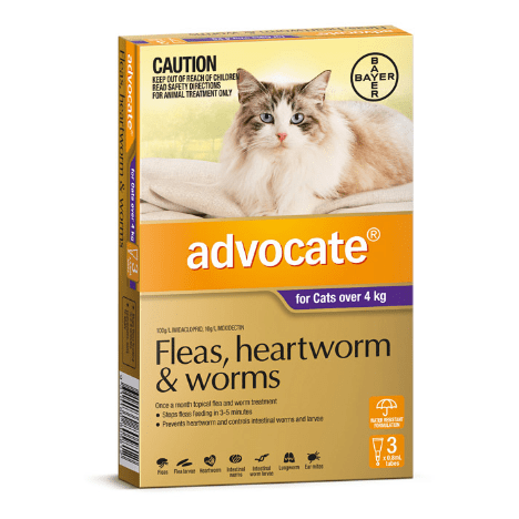 Advocate Flea & Worm Treatment >4kg Cat (132512000005) [default_color]