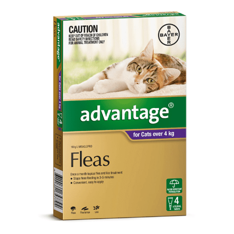 Advantage Flea Treatment >4kg Cat (132512000010) [default_color]