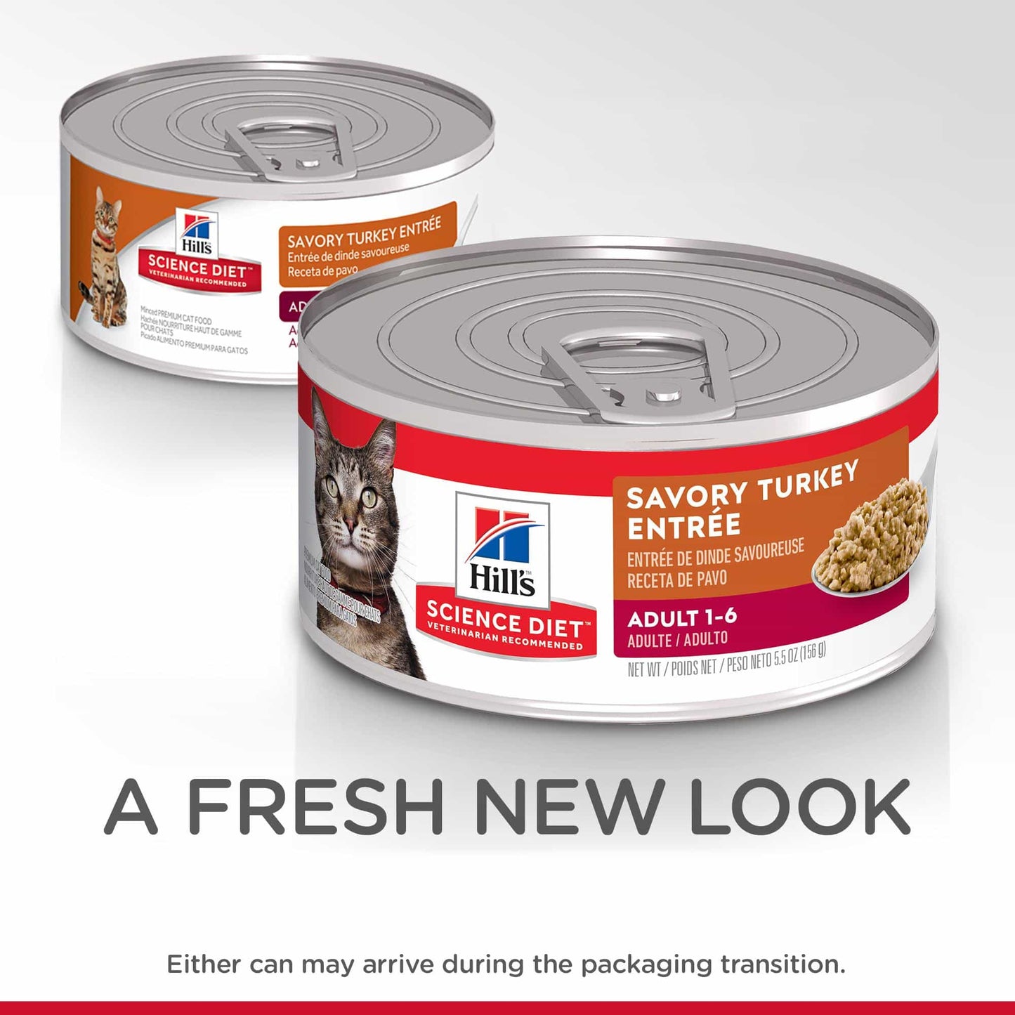 Hill's Science Diet Adult Savory Turkey Entree Wet Cat Food - 156g (132617000013) [default_color]