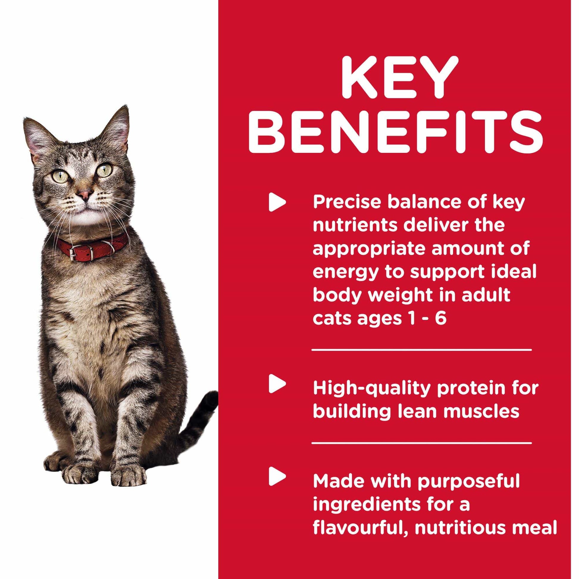 Hill's Science Diet Adult Savory Turkey Entree Wet Cat Food - 156g (132617000013) [default_color]