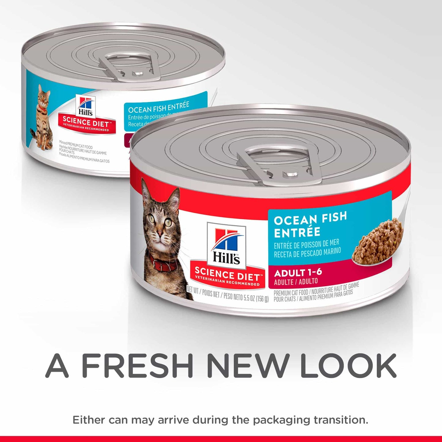 Hill's Science Diet Adult Ocean Fish Entree Wet Cat Food 156g (132617000019) [default_color]