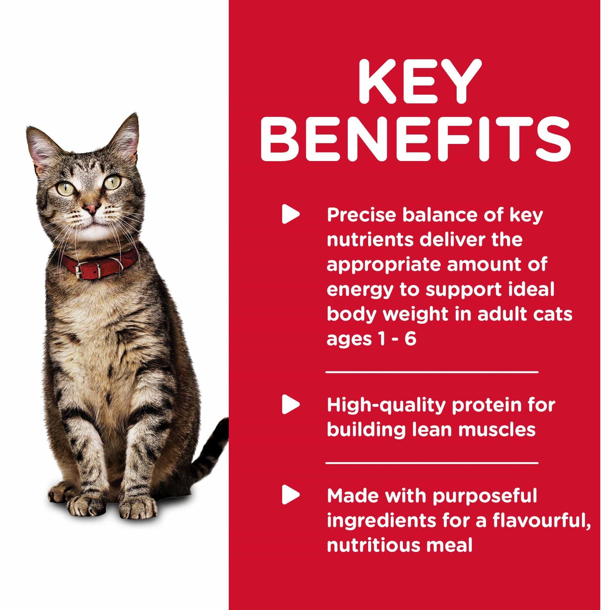 Hill's Science Diet Adult Ocean Fish Entree Wet Cat Food 156g (132617000019) [default_color]