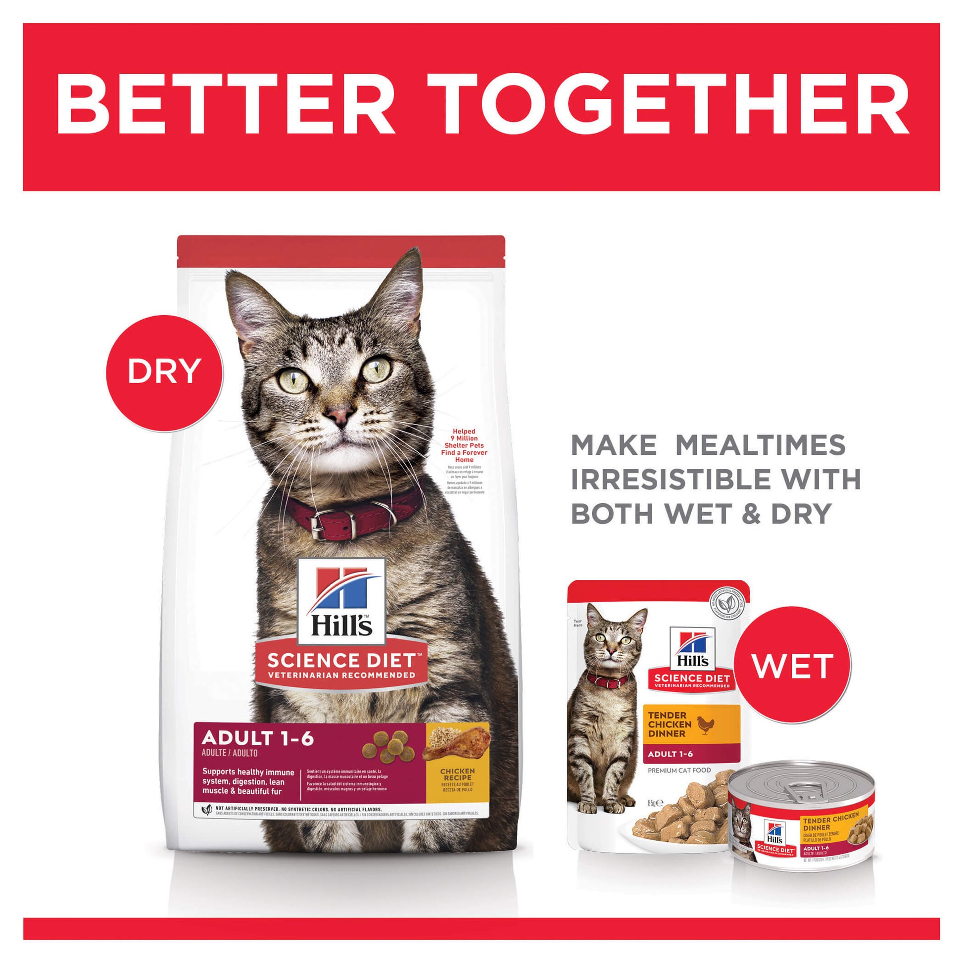Hill's Science Diet Adult Dry Cat Food (132617000023) [default_color]