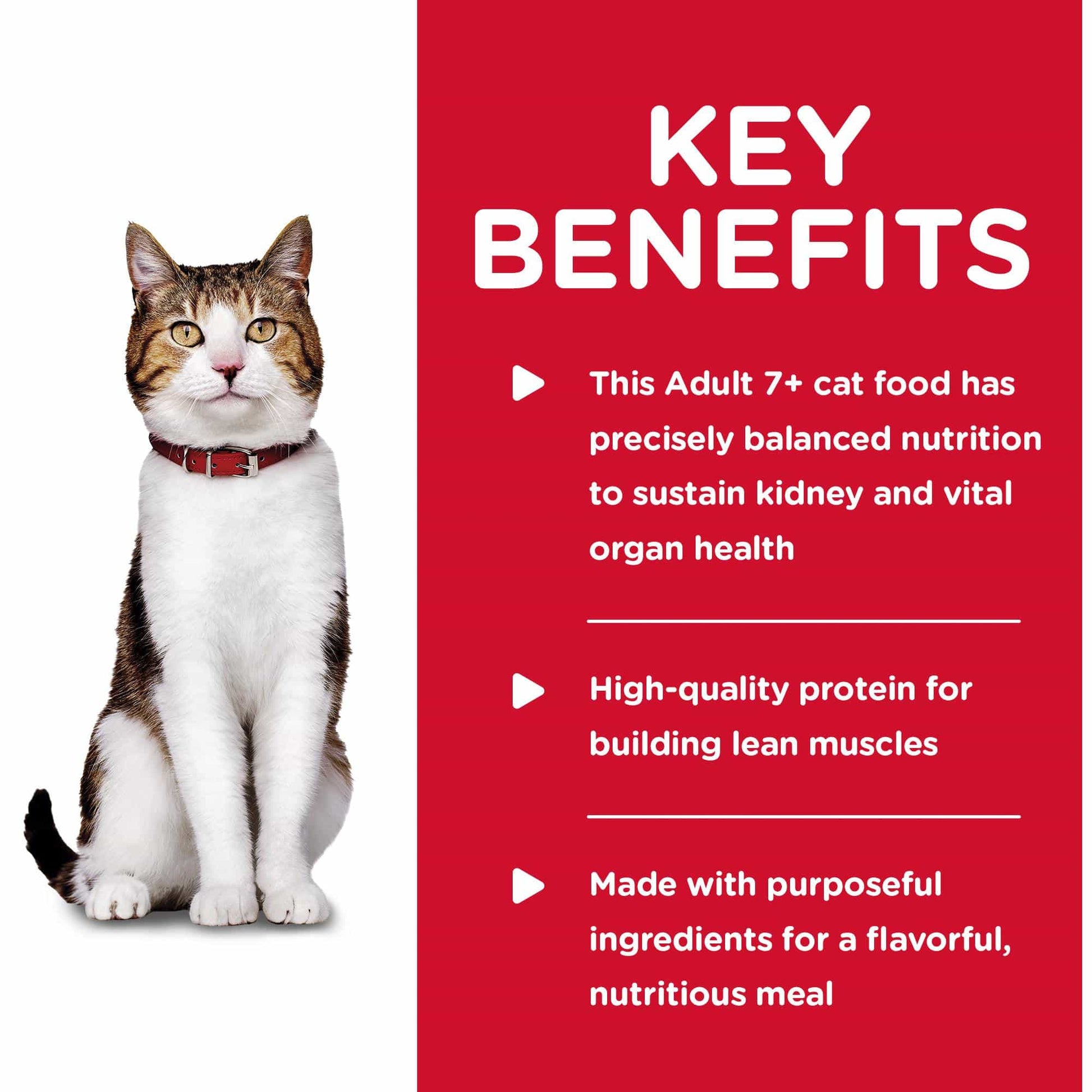 Hill's Science Diet Tender Dinner Mature Chicken in Gravy Wet Cat Food (132617000050) [default_color]