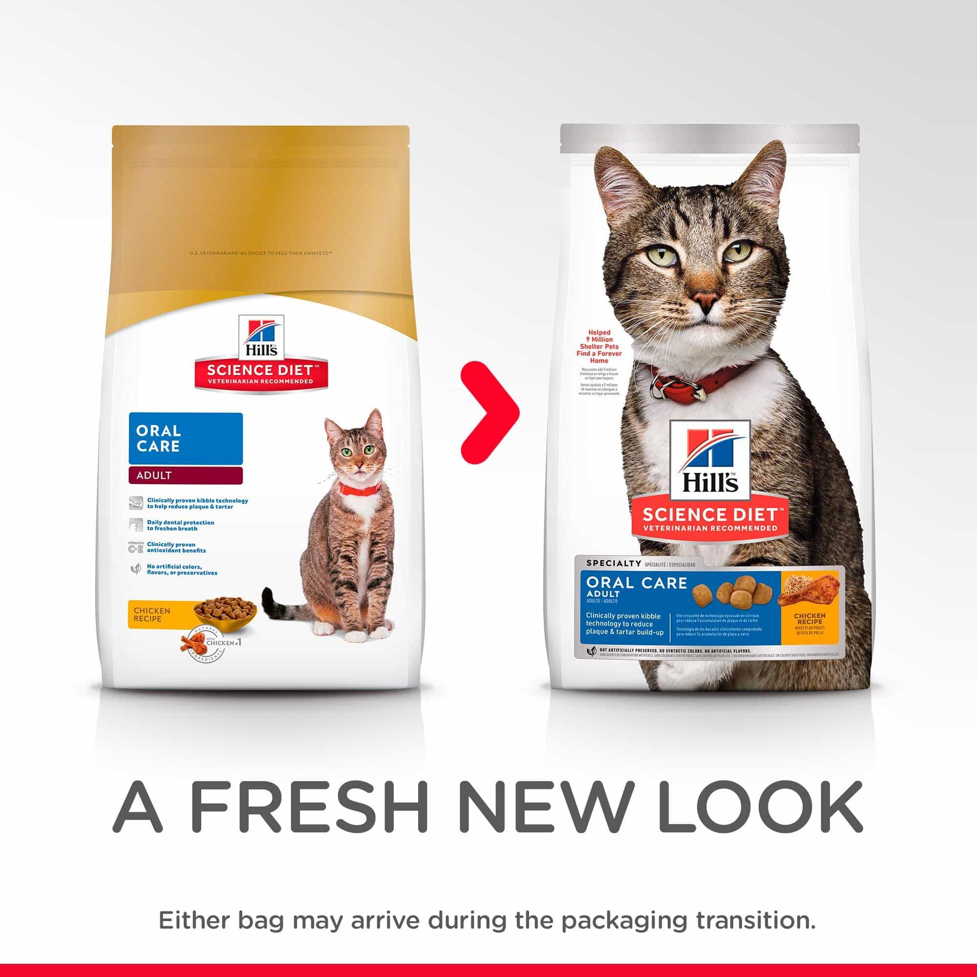 Hill's Science Diet Oral Care Adult Dry Cat Food (132617000067) [default_color]