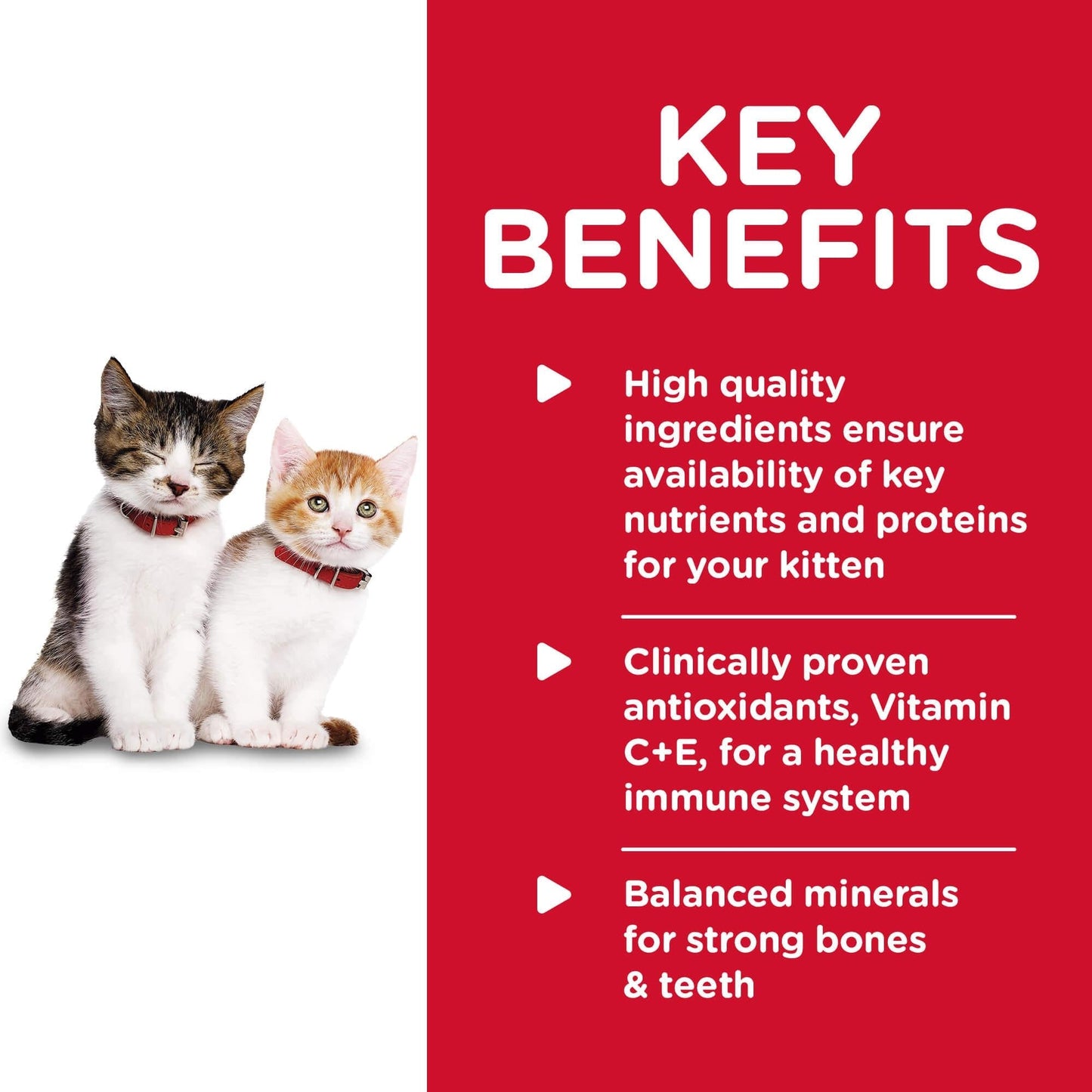 Hill's Science Diet Healthy Cuisine Kitten Chicken & Rice Medley Wet Cat Food 79g