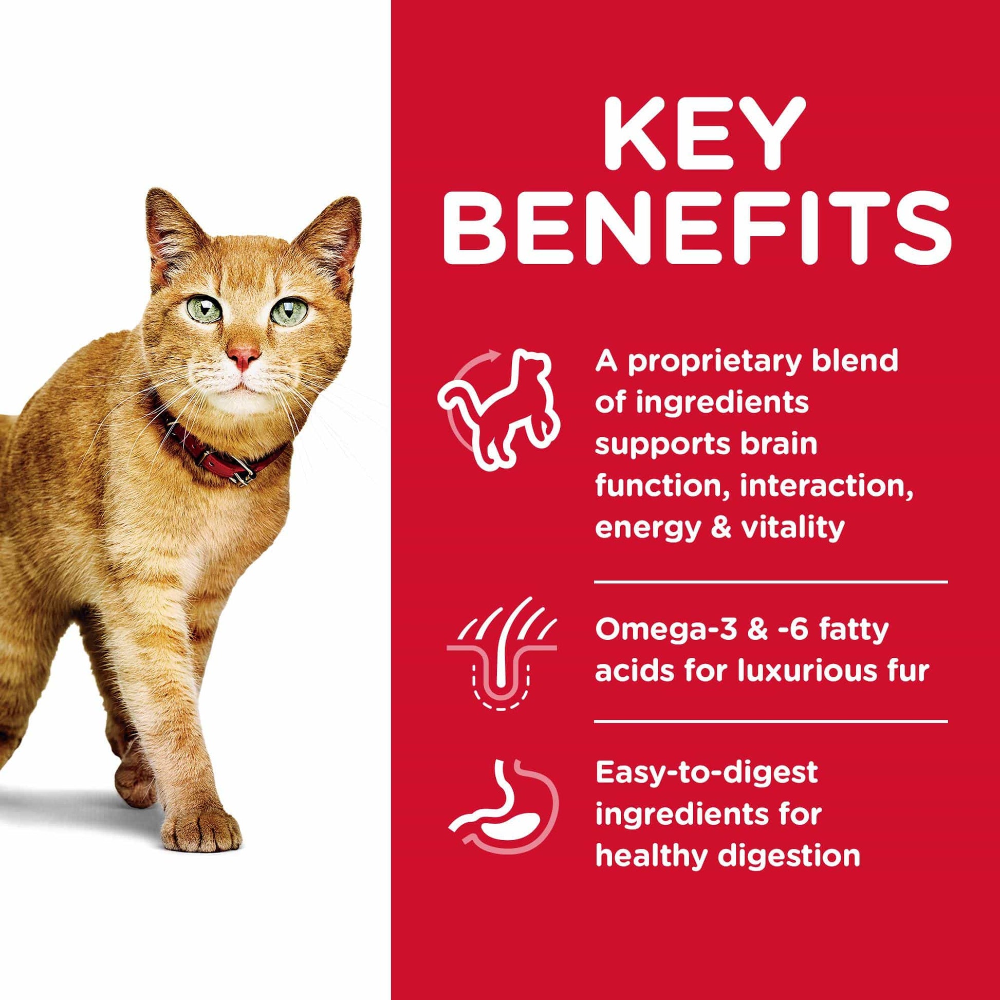 Hill's Science Diet Youthful Vitality Senior Chicken Dry Cat Food (132617000133) [default_color]