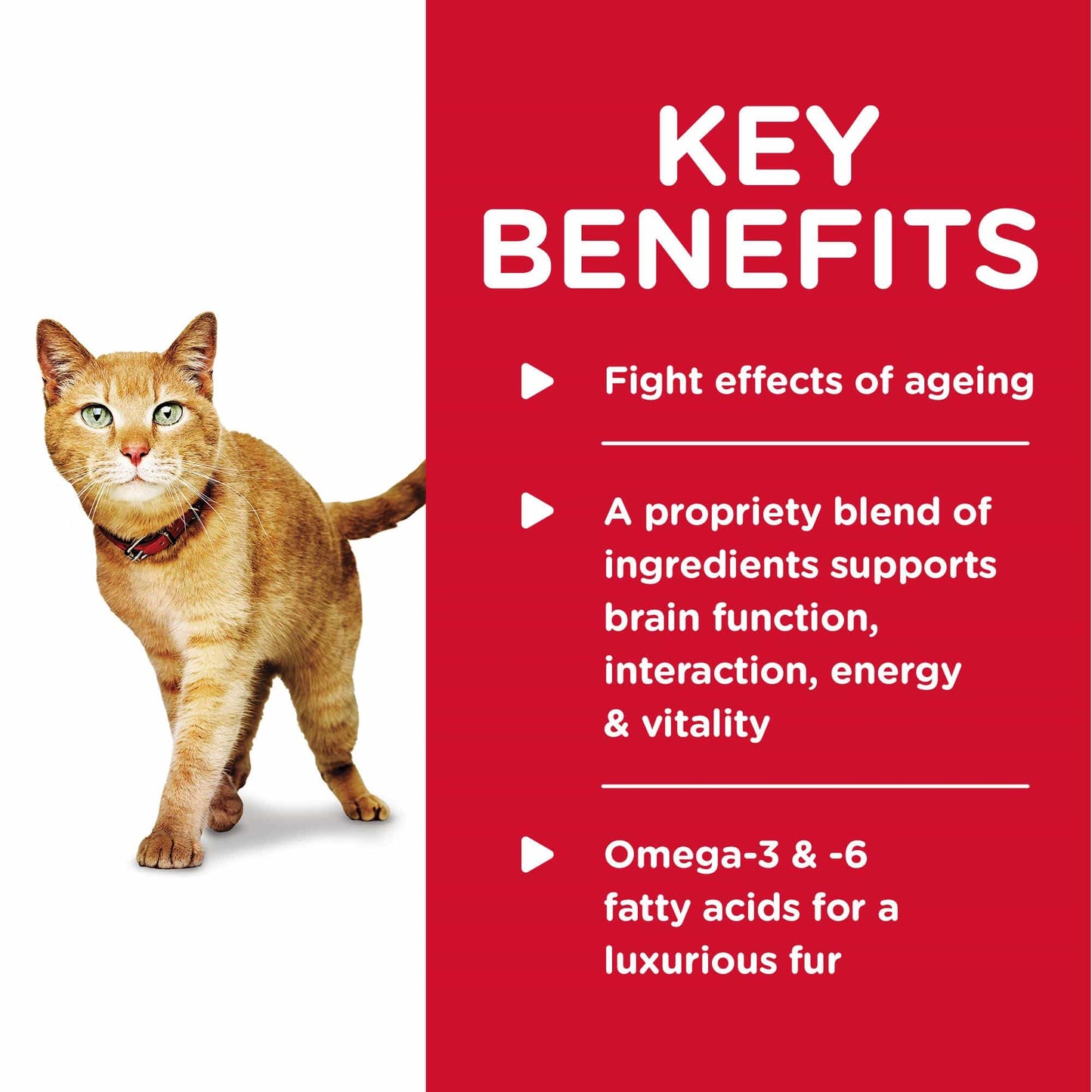 Hill's Science Diet Adult 7+ Youthful Vitality Wet Cat Food - 82gm (132617000135) [default_color]