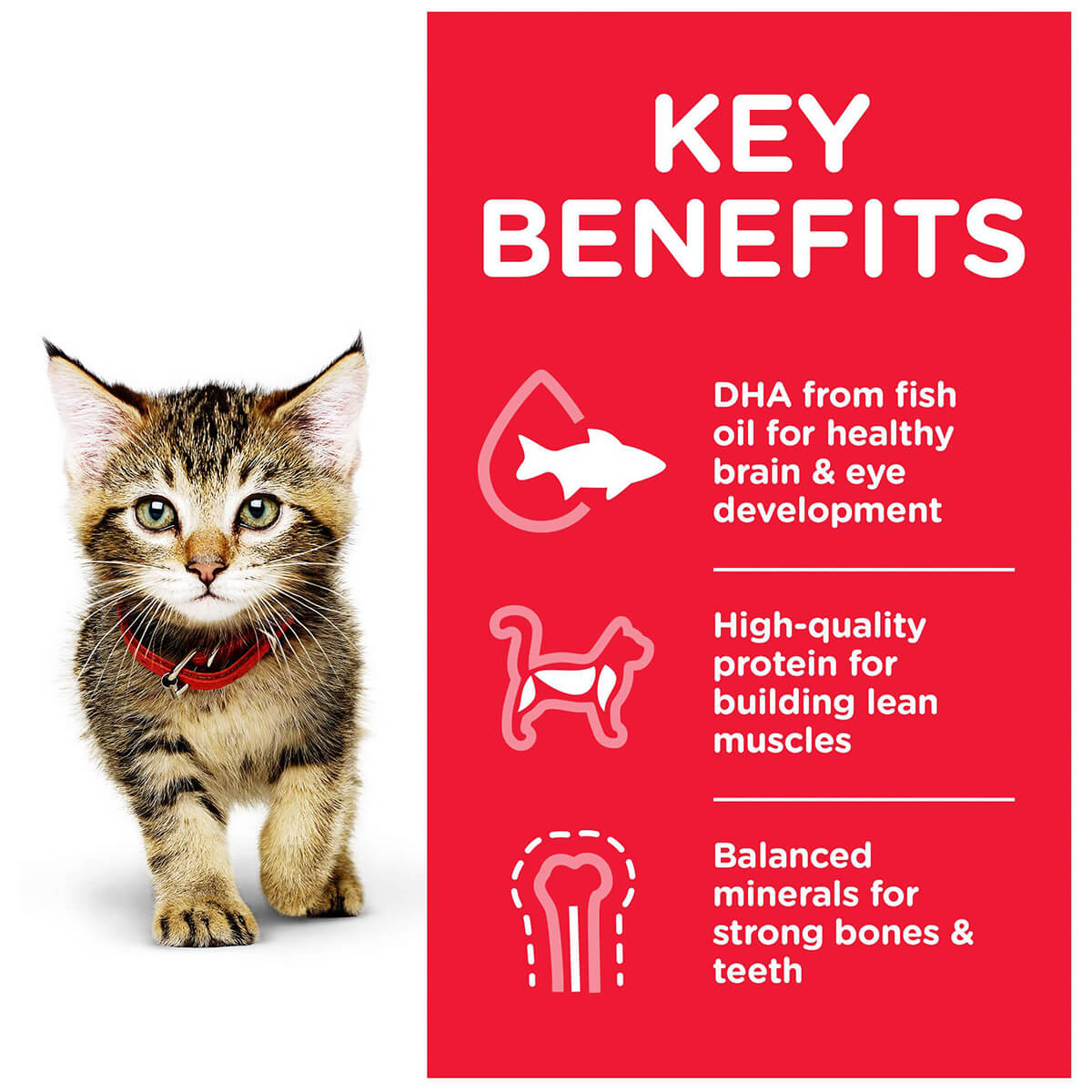 Hill's Science Diet Kitten Chicken Pouches Wet Cat Food 85g
