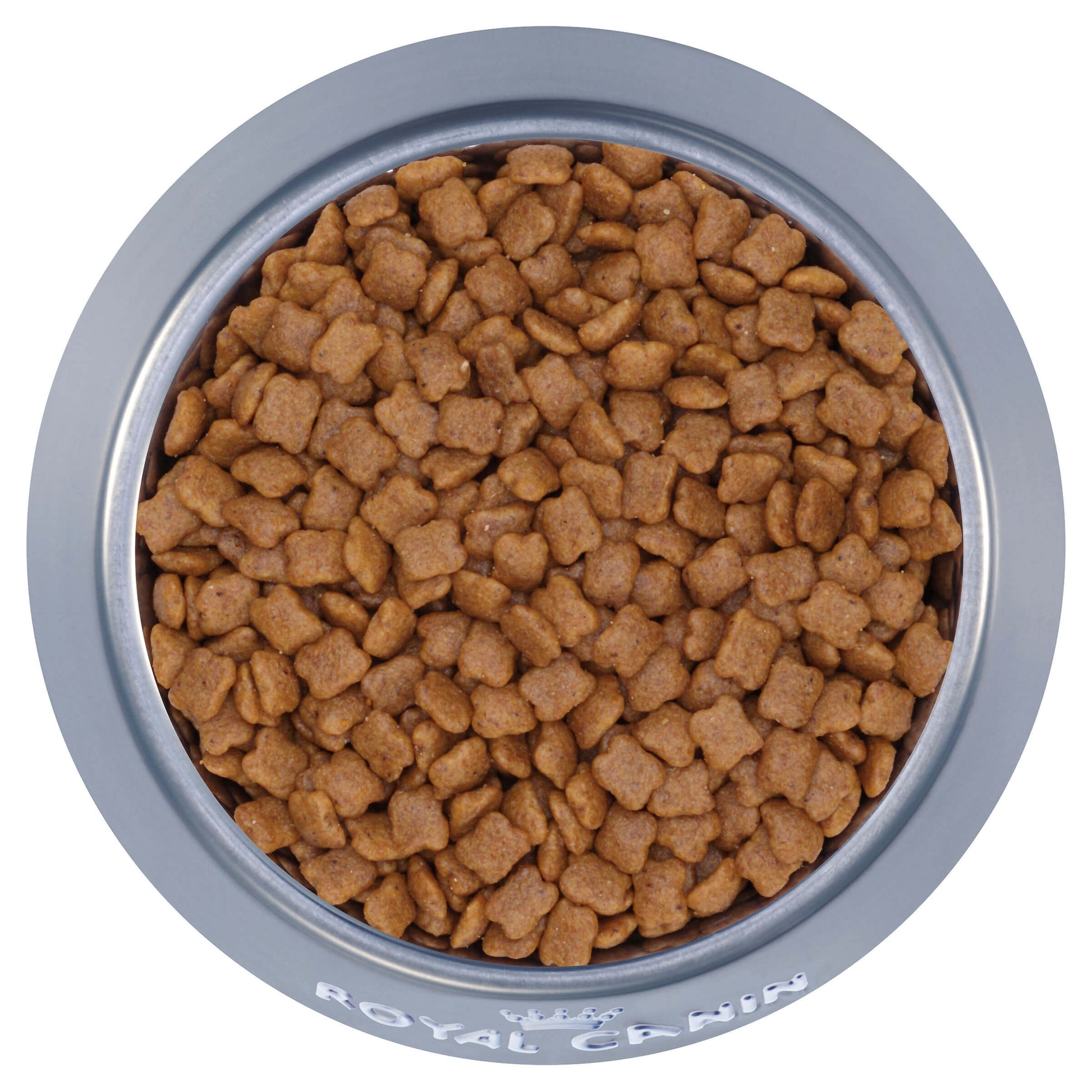 Royal Canin Kitten Dry Cat Food (132622000018) [default_color]