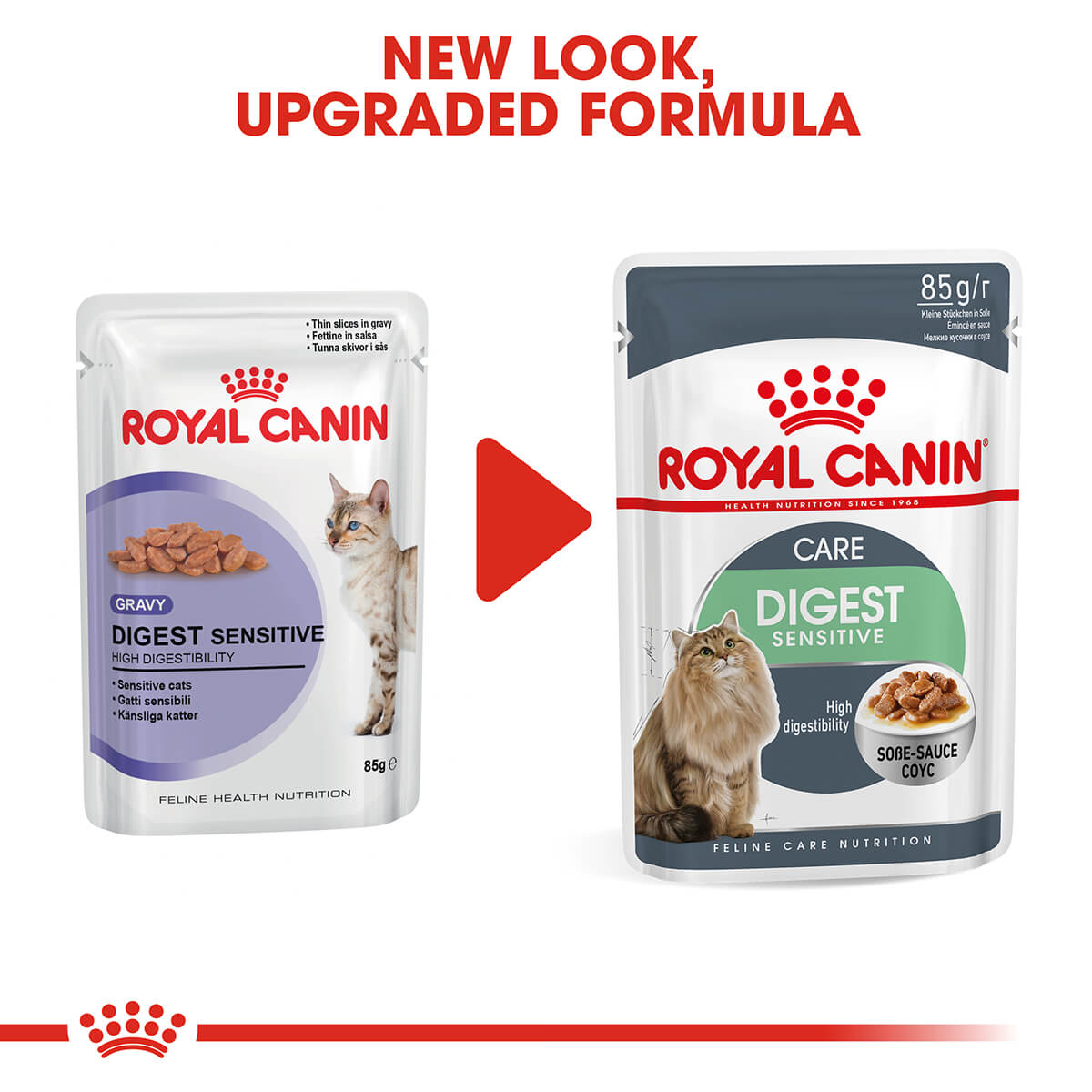 Royal Canin Digestive Care Gravy Adult Wet Cat Food 85g