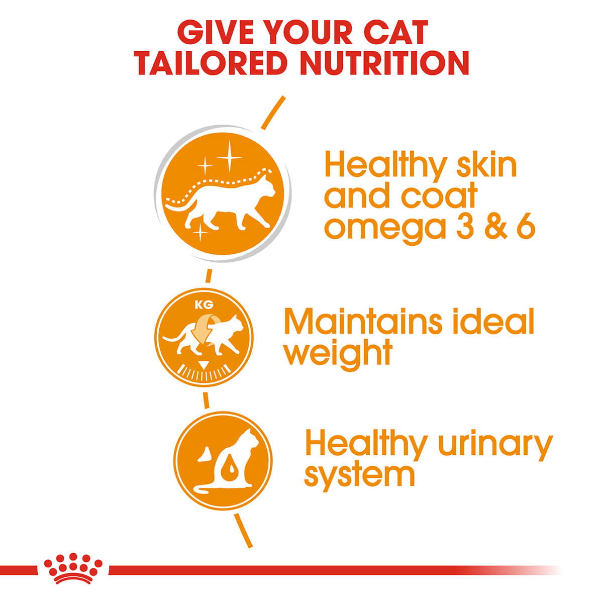 Royal Canin Hair & Skin Gravy Adult Wet Cat Food 85g