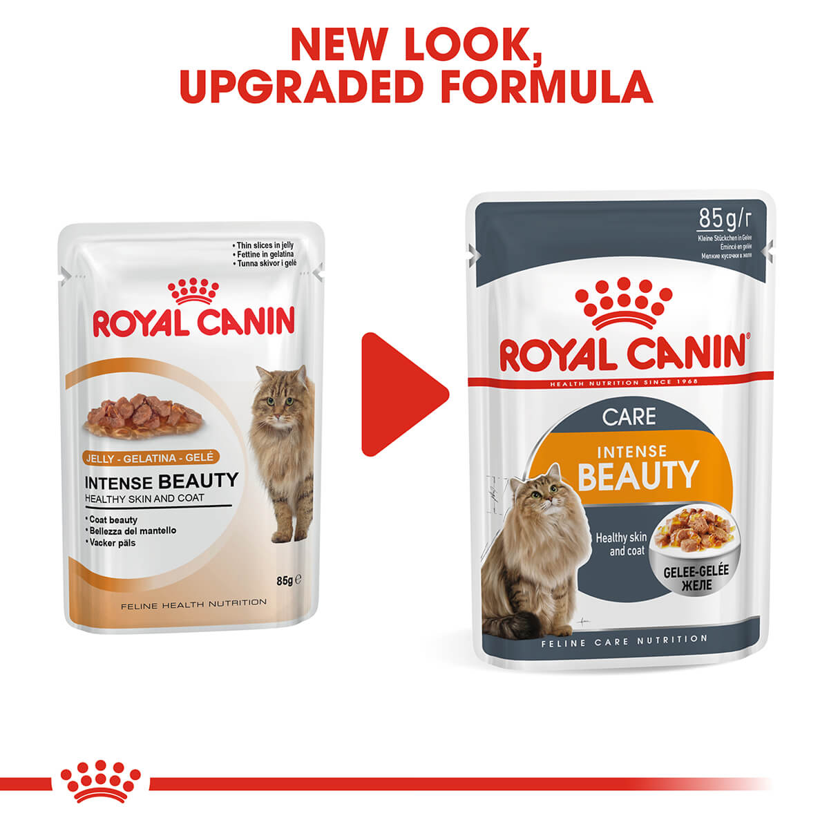 Royal Canin Hair & Skin Jelly Adult Wet Cat Food 85g