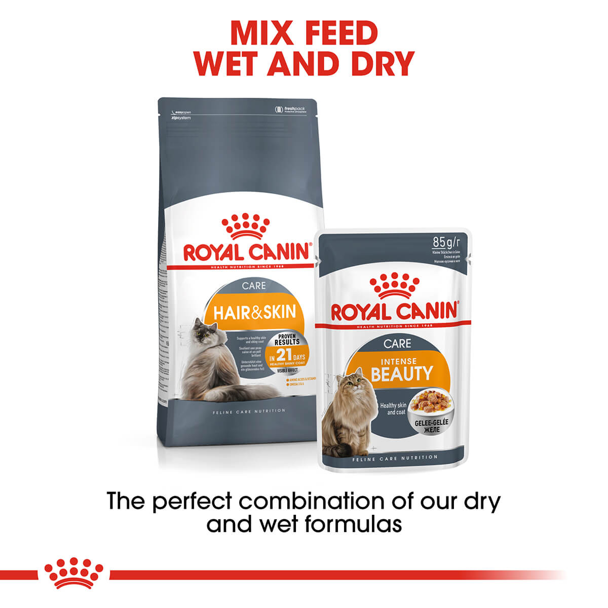 Royal Canin Hair & Skin Jelly Adult Wet Cat Food 85g
