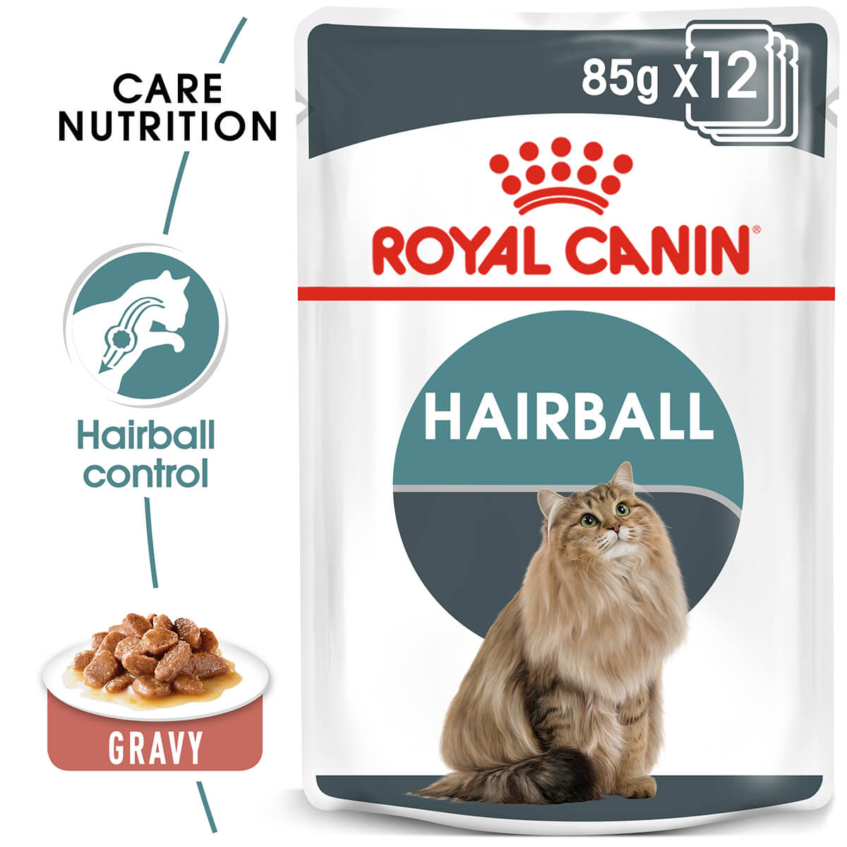 Royal Canin Hairball Care Gravy Adult Wet Cat Food 85g