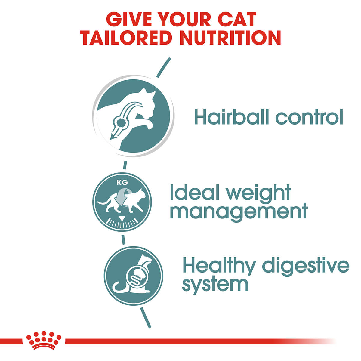 Royal Canin Hairball Care Gravy Adult Wet Cat Food 85g