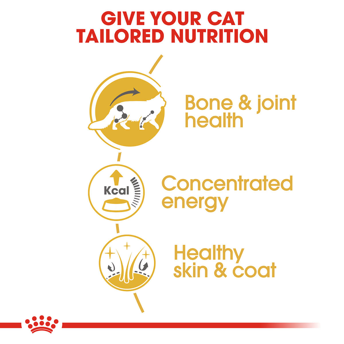 Royal Canin Maine Coon Adult In Gravy Wet Cat Food
