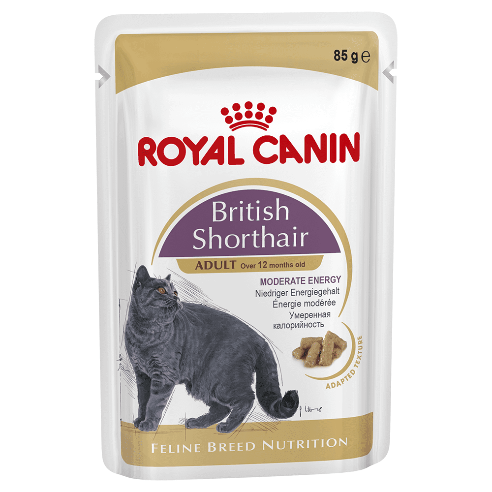 Royal Canin British Shorthair Adult In Gravy Wet Cat Food
