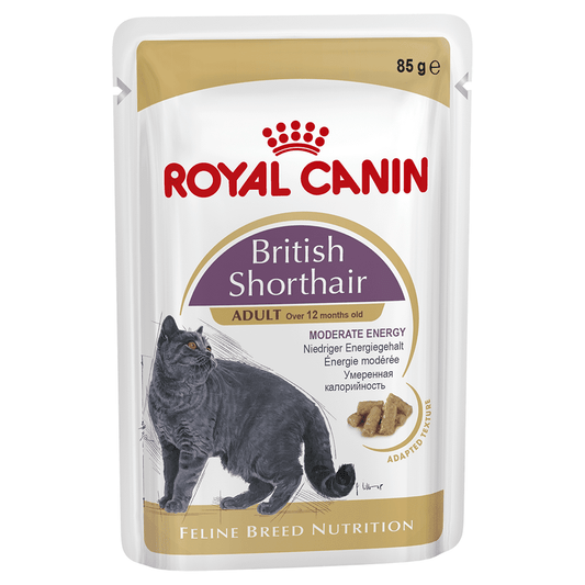 Royal Canin British Shorthair Adult In Gravy Wet Cat Food